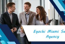 Egochi Miami SEO Agency