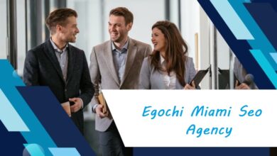 Egochi Miami SEO Agency