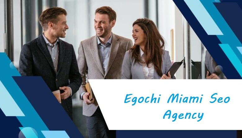 Egochi Miami SEO Agency