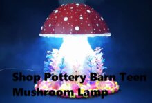 Shop Pottery Barn Teen Mushroom Lamp