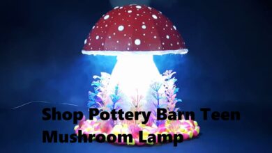 Shop Pottery Barn Teen Mushroom Lamp