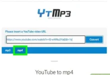 YouTube to MP4 Converters