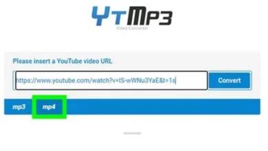 YouTube to MP4 Converters