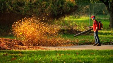 Leaf Blower