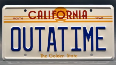 back to the future license plate