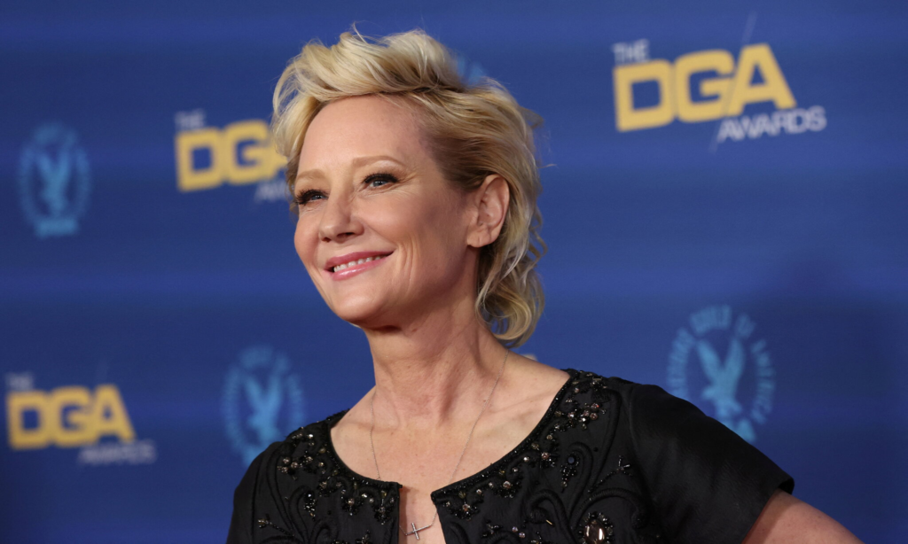 Anne Heche Net Worth: How Much Did She Earn During Her Career